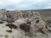 Mud Flat Oolite Site