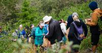 Group of People Collecting Seeds at Bogus Basin as part of a community Volunteer Day on the mountain.  Trees in background.