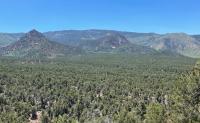 Shurtz Canyon EA Area with pinyon jumper and mountains in the background