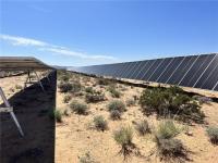 Two rows of solar panels stretch across the ground with vegetation growing between them. 