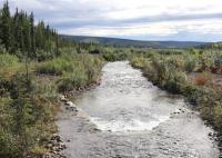 Photo of creek with vegetated banks.