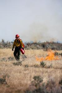 A wildland firefighter carries a drip torch during a prescribed burn in 2022. 