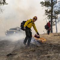 man donning fire equipment conducts a prescribed burn in the forest using a drip torch.