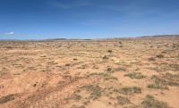 Image 1: The scene near the Halfway Hollow area southwest of Vernal following a 2023 cheatgrass treatment. Photo by Cal DeBerard, Fuels Specialist with BLM Green River District.  