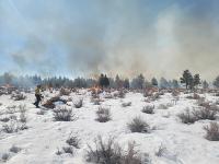 Piles of brush burning in a field  of snow.