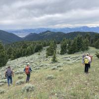 hikers on a mountain side