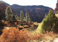 Box Elder area along the Dolores River in Tres Rios Field Office, CO