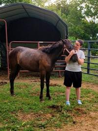 person embracing a horse