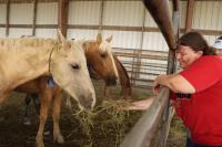 Adopter spending time with horses