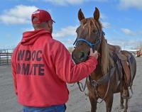 A man wearing a red sweatshirt that says "WDOC INMATE" on the back holds the reins of a brown horse that is looking at the camera.