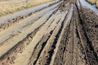 A dirt road is filled with muddy ruts and standing water.