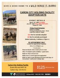 2025 Canon City Wild Horse & Burro Adoption Flyer
