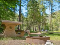 A fire ring and picnic table at Steel Bridge Campground and River Access.