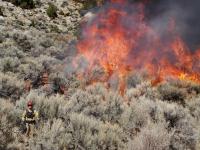 Prescribe fire burning brush in the high desert district