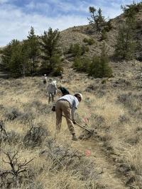 Photo of people performing maintenance on a dirt road