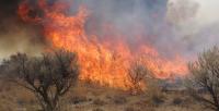 landscape on fire with smoke and flames