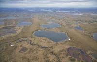 Aerial photo of lakes and rivers on the tundra landscape in the Northeast National Petroleum Reserve in Alaska.