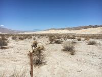 A white desert landscape with mountains in the background and a mining claim stake in the foreground.