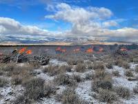 Piles of brush burning in the high desert with snow.