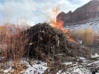 A burning pile of sticks and brush