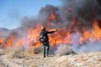 A wildland firefighter ignites dry grass during a controlled burn Nov. 20, 2024, in Nevada's Railroad Valley..