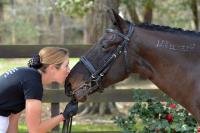 Women kisses nose of horse. 