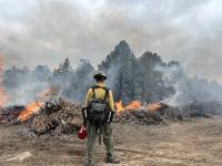 A firefighter wearing fire gear watches piles of burning vegetation. Smoke is rising from the piles and fills the visible sky.