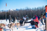 This picture depicts a team of sled dogs and a musher riding in the snow and greeting spectators underneath a blue sky.