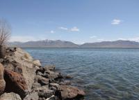 A wide, calm reservoir stretches across the foreground, its blue water rippling gently against a rocky shoreline. Beyond the water, a range of mountains—some with patches of lingering snow—rises under a bright blue sky scattered with small white clouds. A leafless shrub sits on the left side of the rocky shore, adding contrast to the open, expansive landscape.