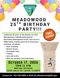 Flyer for Meadowood’s 25th birthday party, featuring balloons, activities, date, time, location, and contact information.