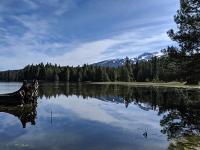 A lake in the mountains surrounded by pine and fir trees.