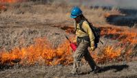Pompeys Pillar National Monument Prescribed Fire. Photo by Colby Neal, BLM