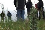 a low view of people standing in a grassy field