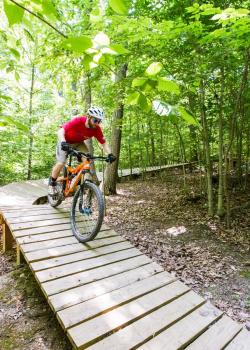 Mountain biker travels down path through forested area