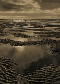 photo by Darryl Baird of a person walking along the ocean