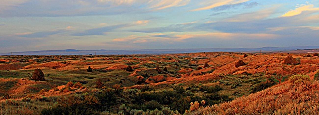 Juniper Dunes Wilderness Area, Border Field Office