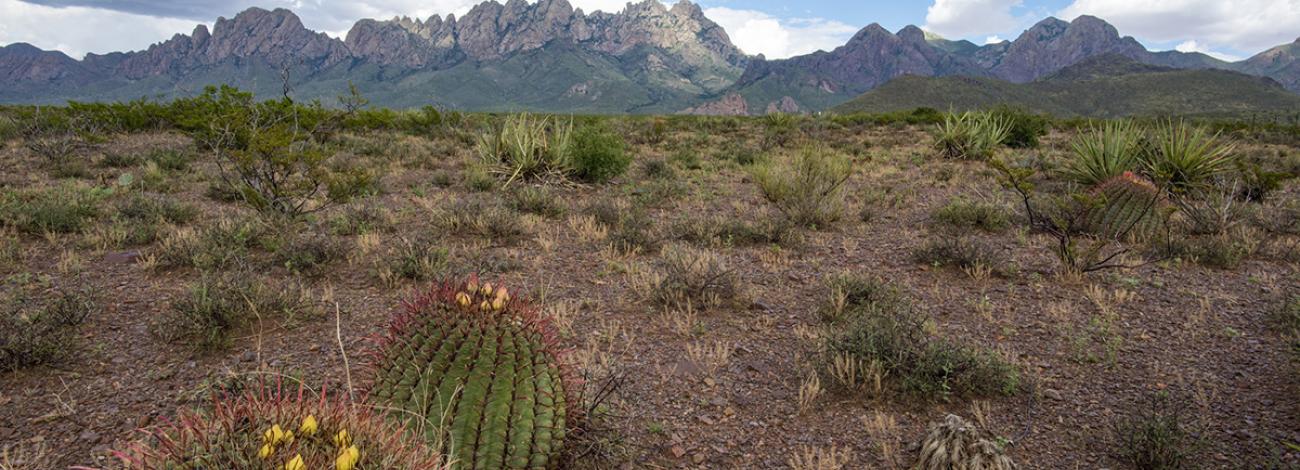 BLM New Mexico