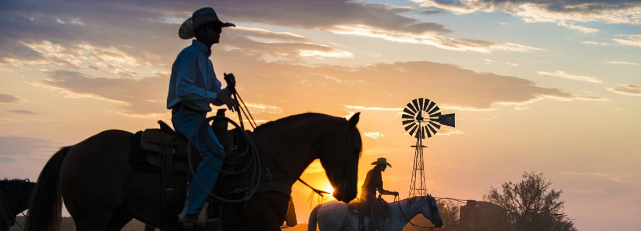 BLM New Mexico