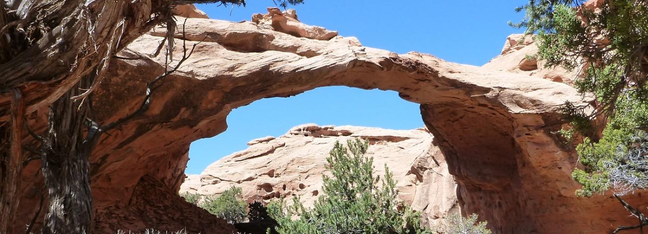 sandstone arch in semi vegetated area. Blue skys