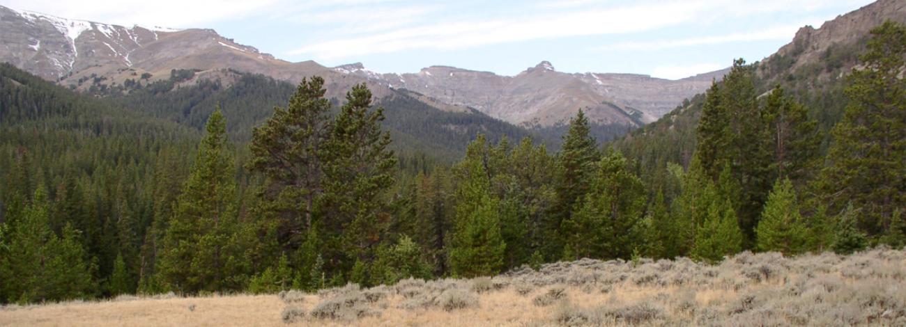 WY_OwlCreekWSA1