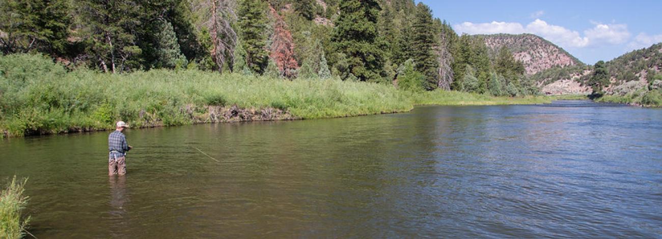 man standing in river fishing