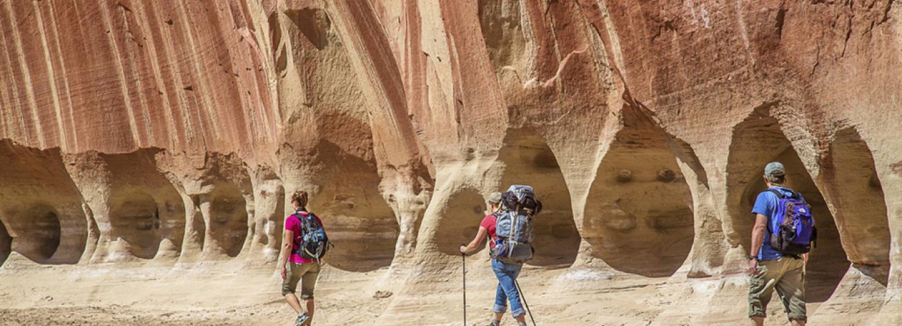 Three hikers walking past the sandstone wall riddled with holes in Vermilion Cliffs National Monument.