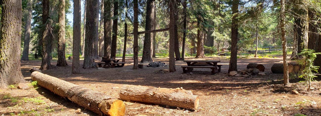 View of campsite at Surveyor Recreation Site.