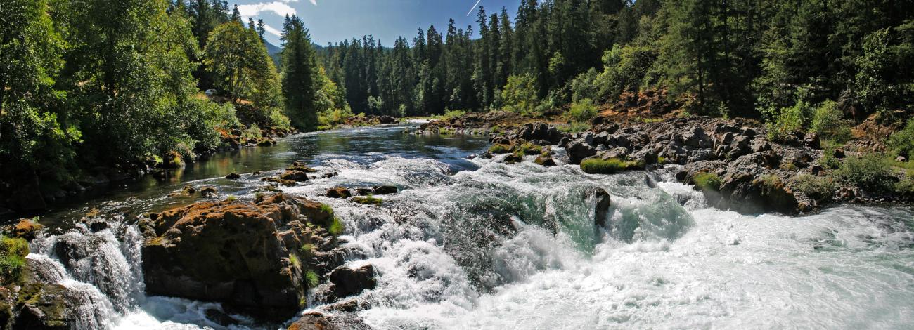 Falls on the North Umpqua Wild and Scenic River