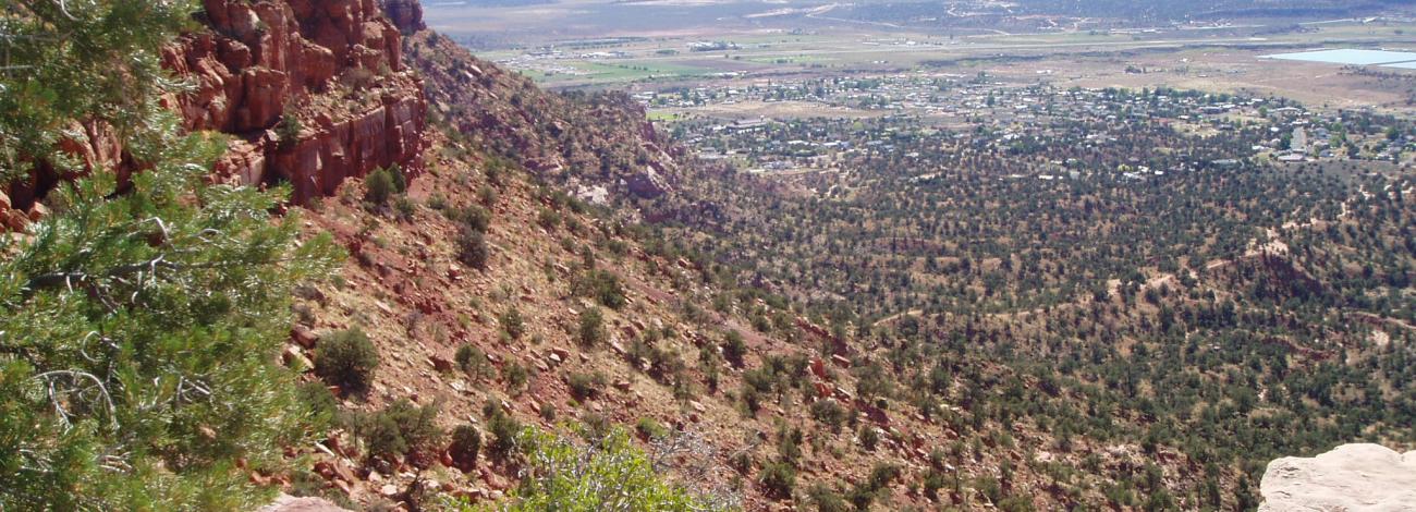 Bunting Trail