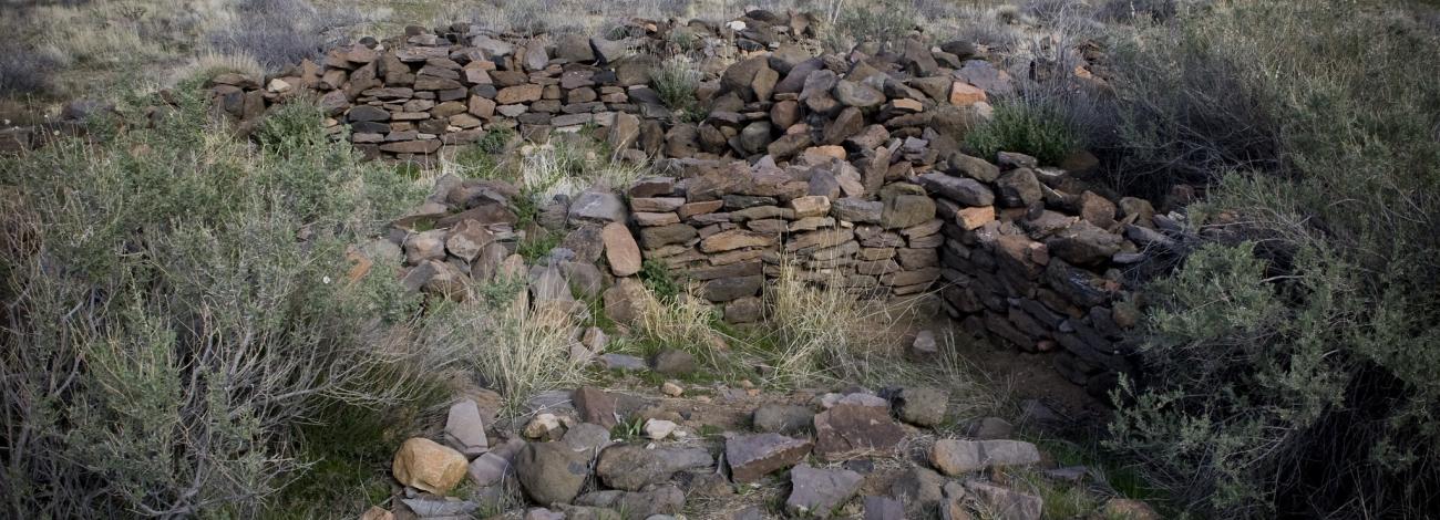 Pueblo la Plata Site