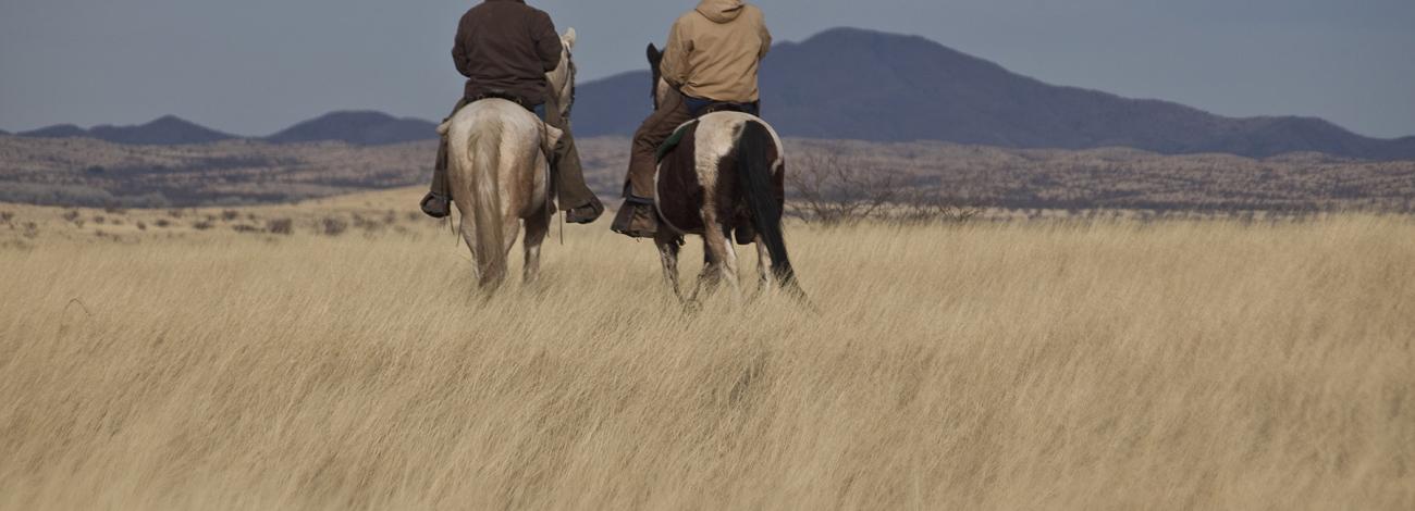 Horseback riding