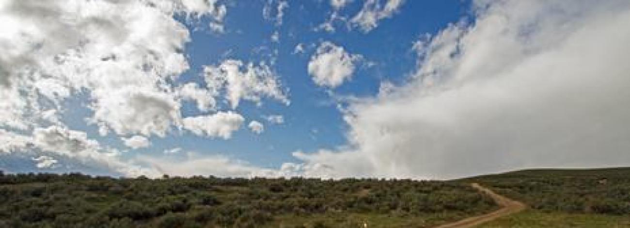 Virtue Flat OHV Area