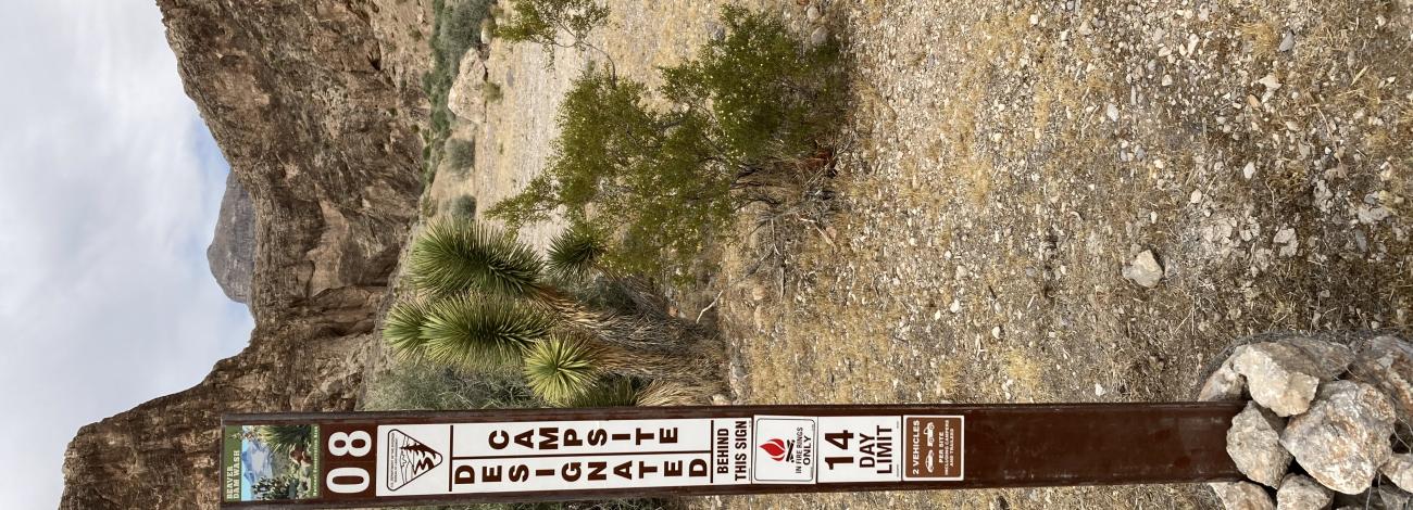 Beaver Dam Wash Designated Dispersed Camping Area