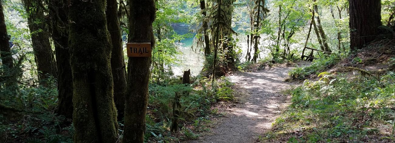 Trail to Quartzville Creek at Yellowbottom Recreation Site